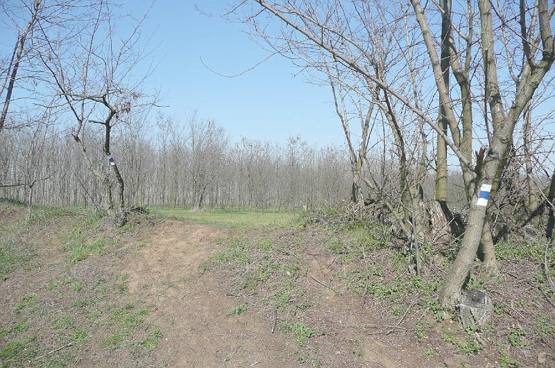 akk 05.JPG